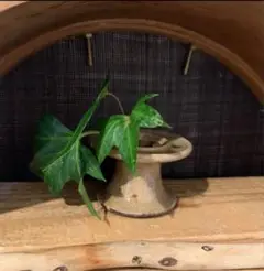 Item thumbnail for item dc60e7cd-92c2-4eca-b4ab-a42e0f338a21