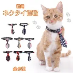 首輪 猫用 猫 ネコ用首輪 かわいい おしゃれ ネクタイ首輪 ネクタイ タイプ2
