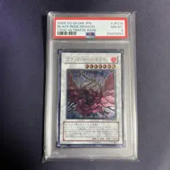 【PSA8】遊戯王　ブラックローズドラゴン　レリーフ 遊戯王 英語版 ブラックローズ ドラゴン 1st レリーフの通販