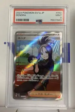 キハダ SR PSA9