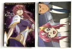 ガンダムSEEDカードセット