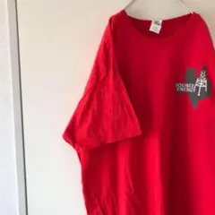 USA購入 オーバーサイズ ワンポイント Tシャツ source energy