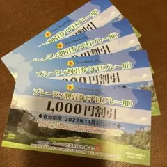 キャスコ花葉Club平日割引券4000円分
