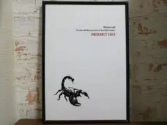 アートポスター　SCORPION