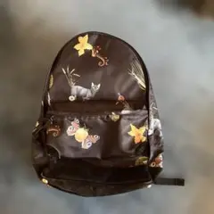 AlexanderLeechangバックパック