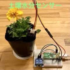 【新品】Raspberry Pi Pico 4 土壌水分センサー 電子工作