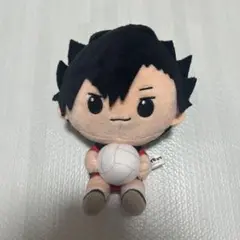 ハイキュー 黒尾鉄朗 一番くじ ぬいぐるみ
