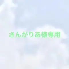 さんがりあ様 リクエスト 2点 まとめ商品