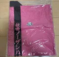 未使用☆秋田ノーザンハピネッツ半纏