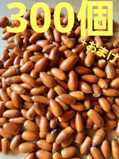 Item thumbnail for item dc36909c-24ac-4a17-a44d-3ca86a87c356