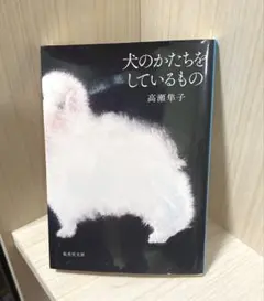 文庫本「犬のかたちをしているもの」高瀬隼子【匿名配送】