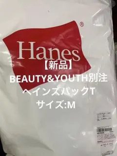 【新品】別注アローズ　ヘインズパックT ｜Mサイズ