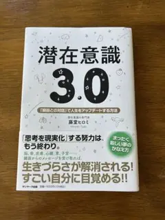 潜在意識 3.0 藤堂ひろみ