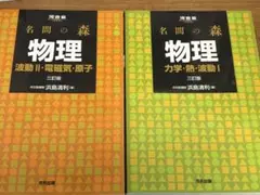 名問の森 物理 波動2・電磁気・原子 力学・熱・波動1 2冊セット