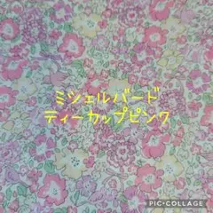 Item thumbnail for item cbbdef73-f0df-4fee-b930-24c2dcf9d971