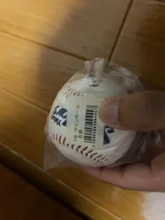 ヤクルトスワローズ　古田敦也　プリントサインボール