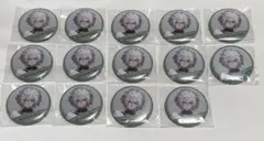 にじさんじ 叢雲カゲツ welcome goods 缶バッジ 14点