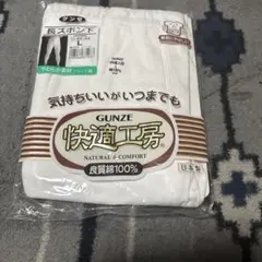 GUNZE 長ズボン下 KR3002 Lサイズ