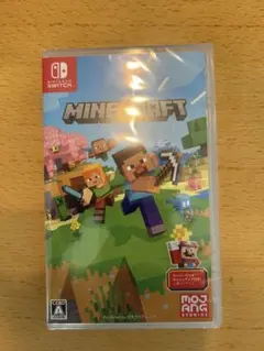 Minecraft Nintendo Switch