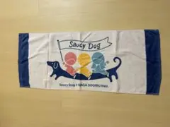 Saucy Dog タオル