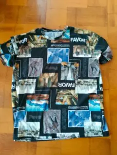 メンズ　Tシャツ　5L