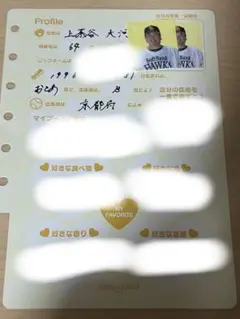 上茶谷大河 プロフィールシート