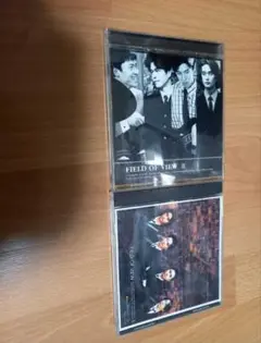 FIELD OF VIEW アルバム2枚セット