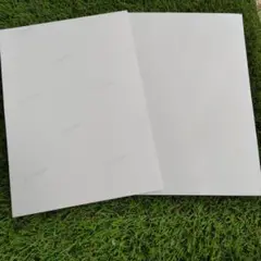 ＊写真用紙＊光沢ゴールド＊2L＊2枚＊