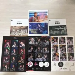 櫻坂46 ライブ ステッカー サクコレ 東京ドーム アニラ BACKS