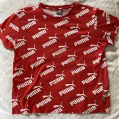 PUMA 赤 ロゴプリント Tシャツ 100cm~