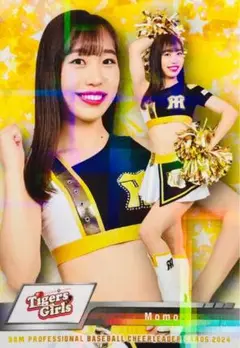 Item thumbnail for item 894e6c6b-ce91-4603-8351-9d029f459a84