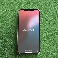 iPhone 12 Pro Max 256GB