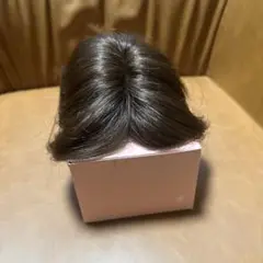 ディノスウィッグ　栗色