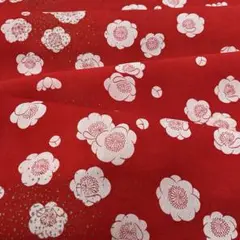 Item thumbnail for item 067249b5-42bd-465c-9726-e9e3dcce4119