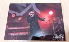 ばぁうくん実写ブロマイド