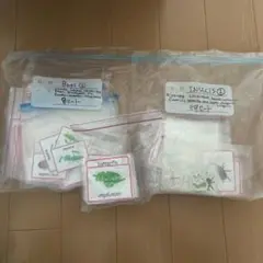 Item thumbnail for item 54c82c20-d866-423e-9cc0-bdd72df29db5