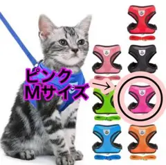 Item thumbnail for item f440993b-2908-41cb-82f7-17c85fdd0674