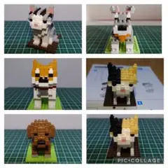 プチブロック 柴犬