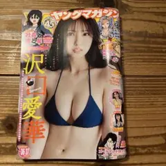ヤングマガジン 【最新号】