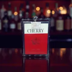 Item thumbnail for item 5dc93793-ef1c-470e-8bfa-0fe326a94e3f