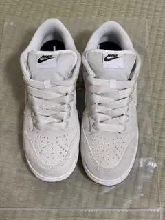 Nike SB Dunk Low Pro B