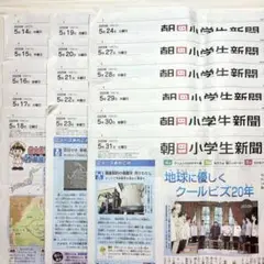 朝日小学生新聞　2025年 5月後半　16部　まとめ売り　子ども新聞