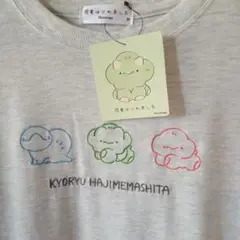 新品未使用☆匿名配送恐竜はじめましたTシャツМ バブ マル コマチ