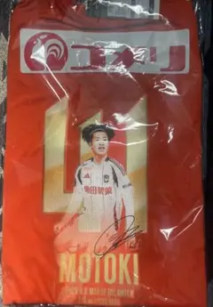 アルビレックス新潟　長谷川元希　神ユニ　2025 ユニフォーム　3XL 新品