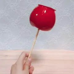 りんご飴 食品サンプル 実物大
