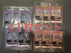 遊戯王 ブラックマジシャンガール 未開封