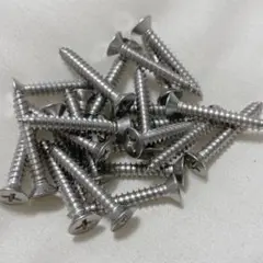 早い者勝ち❗️25個　ネジ 10x31.8mm 平頭プラスセルフタッピングねじ