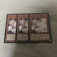 遊戯王　灰流うらら　ノーマル　3枚　安心メルカリ便
