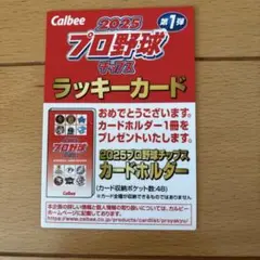 カルビー プロ野球チップス ラッキーカード