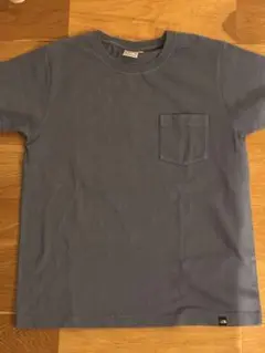 ザノースフェイス　ブルー系色　Tシャツ レディースLサイズ